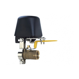 �ڴ� �Զ��ر�ר�û�е�ֲ���