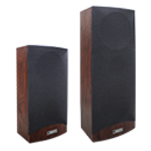 ��ʿ�� �������� DSP223/224